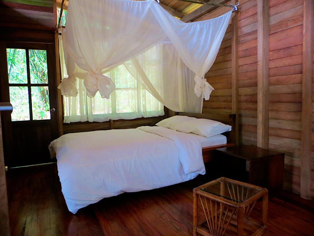 Huella Verde Rainforest Lodge Canelos Quarto foto
