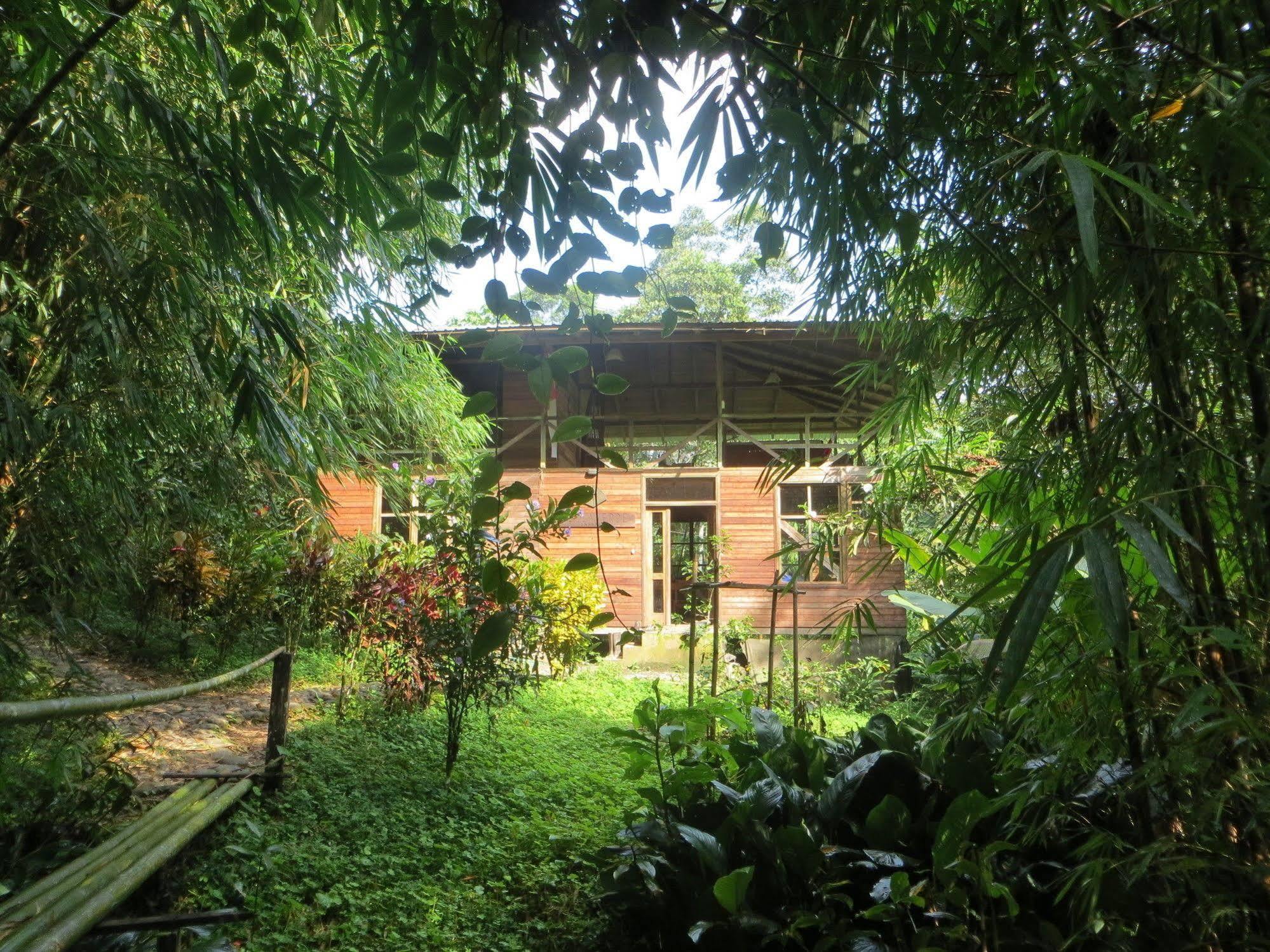 Huella Verde Rainforest Lodge Canelos Exterior foto